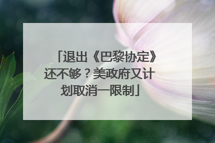 退出《巴黎协定》还不够？美政府又计划取消一限制
