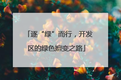 逐“绿”而行，开发区的绿色嬗变之路