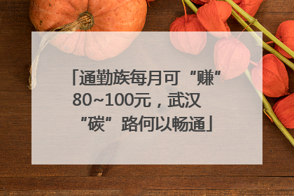 通勤族每月可“赚”80~100元，武汉“碳”路何以畅通