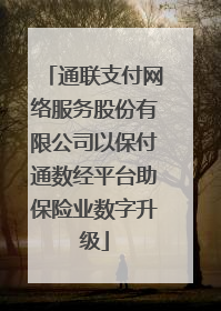 通联支付网络服务股份有限公司以保付通数经平台助保险业数字升级