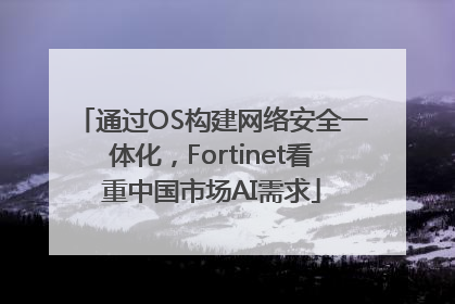 通过OS构建网络安全一体化，Fortinet看重中国市场AI需求