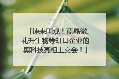 速来围观！蓝晶微、礼升生物等虹口企业的黑科技亮相上交会！