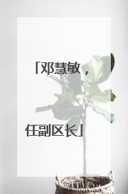 邓慧敏，任副区长