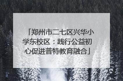 郑州市二七区兴华小学东校区：践行公益初心促进普特教育融合