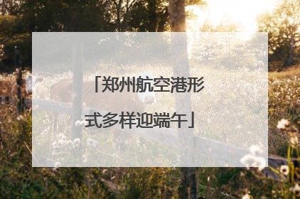 郑州航空港形式多样迎端午