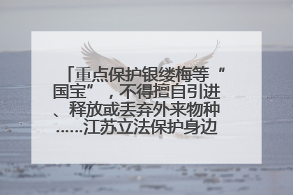 重点保护银缕梅等“国宝”，不得擅自引进、释放或丢弃外来物种……江苏立法保护身边的生物“朋友圈”