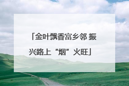 金叶飘香富乡邻 振兴路上“烟”火旺