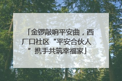 金锣敲响平安曲，西厂口社区“平安合伙人”携手共筑幸福家
