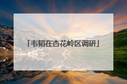 韦韬在杏花岭区调研