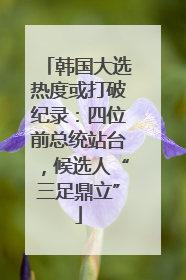 韩国大选热度或打破纪录：四位前总统站台，候选人“三足鼎立”