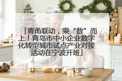 青甬联动，乘“数”而上！青岛市中小企业数字化转型城市试点产业对接活动在宁波开班