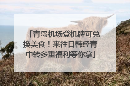 青岛机场登机牌可兑换美食！来往日韩经青中转多重福利等你拿
