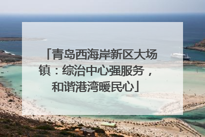 青岛西海岸新区大场镇：综治中心强服务，和谐港湾暖民心