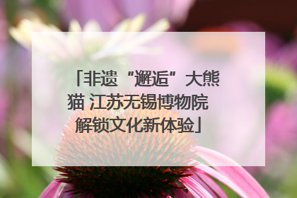 非遗“邂逅”大熊猫 江苏无锡博物院解锁文化新体验