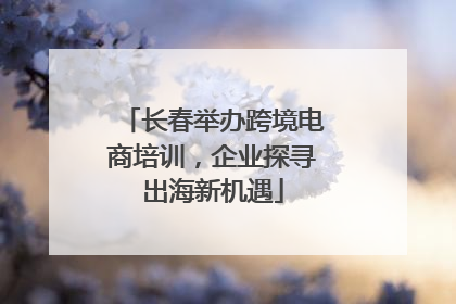 长春举办跨境电商培训，企业探寻出海新机遇