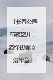 长春公园芍药盛开，演绎初夏浪漫华章