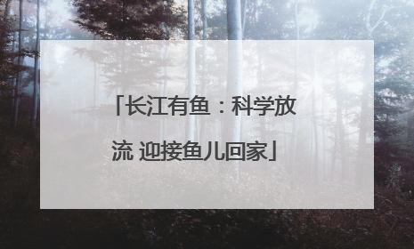 长江有鱼：科学放流 迎接鱼儿回家