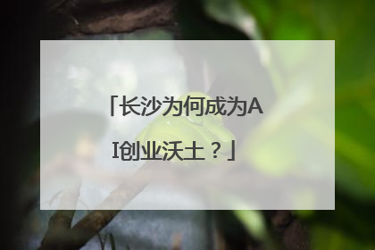 长沙为何成为AI创业沃土？
