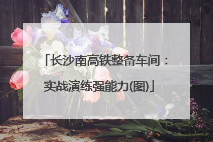 长沙南高铁整备车间：实战演练强能力(图)