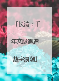 长清：千年文脉邂逅数字浪潮