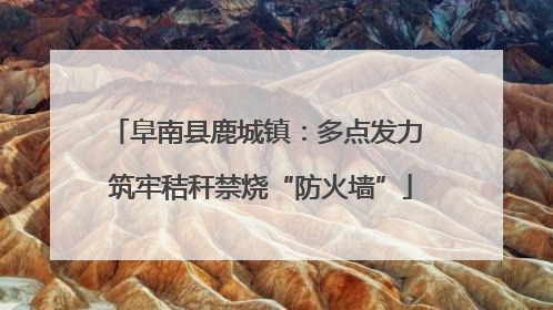 阜南县鹿城镇：多点发力 筑牢秸秆禁烧“防火墙”