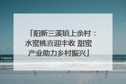阳新三溪镇上余村：水蜜桃喜迎丰收 甜蜜产业助力乡村振兴