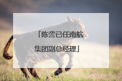 陈詟已任南航集团副总经理