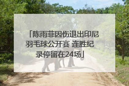 陈雨菲因伤退出印尼羽毛球公开赛 连胜纪录停留在24场