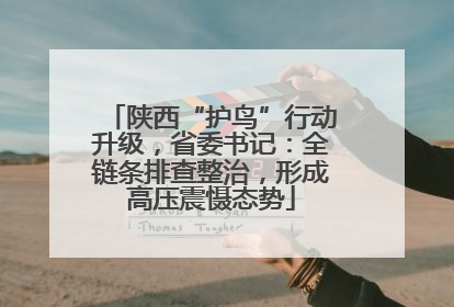 陕西“护鸟”行动升级，省委书记：全链条排查整治，形成高压震慑态势