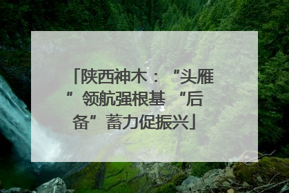 陕西神木：“头雁”领航强根基 “后备”蓄力促振兴