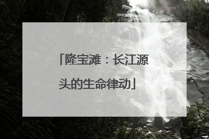 隆宝滩：长江源头的生命律动