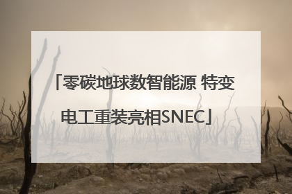 零碳地球数智能源 特变电工重装亮相SNEC