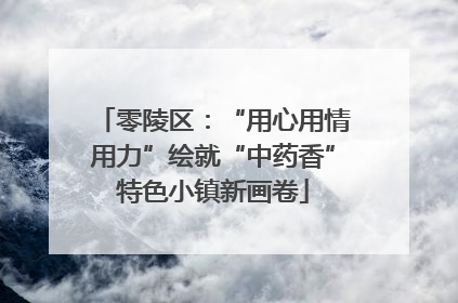 零陵区：“用心用情用力”绘就“中药香”特色小镇新画卷