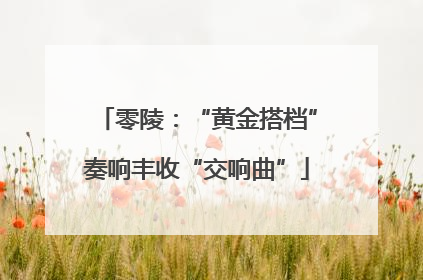 零陵：“黄金搭档”奏响丰收“交响曲”