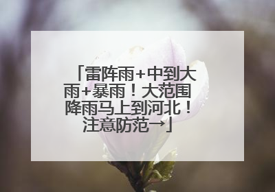 雷阵雨+中到大雨+暴雨！大范围降雨马上到河北！注意防范→