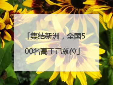 集结新洲，全国500名高手已就位