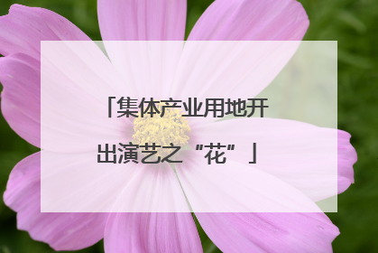 集体产业用地开出演艺之“花”