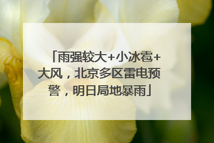 雨强较大+小冰雹+大风，北京多区雷电预警，明日局地暴雨