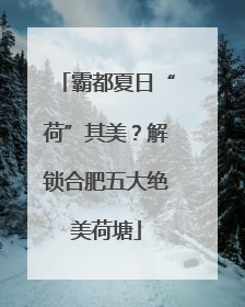 霸都夏日“荷”其美？解锁合肥五大绝美荷塘