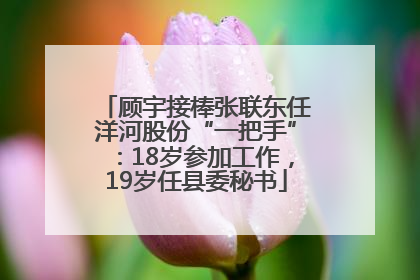 顾宇接棒张联东任洋河股份“一把手”：18岁参加工作，19岁任县委秘书