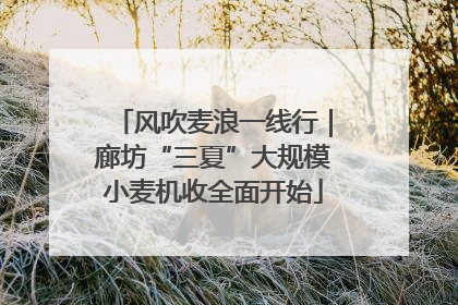 风吹麦浪一线行｜廊坊“三夏”大规模小麦机收全面开始