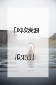 风吹麦浪 瓜果香