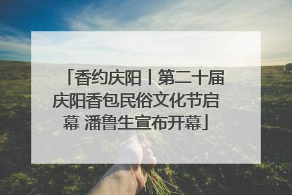 香约庆阳丨第二十届庆阳香包民俗文化节启幕 潘鲁生宣布开幕