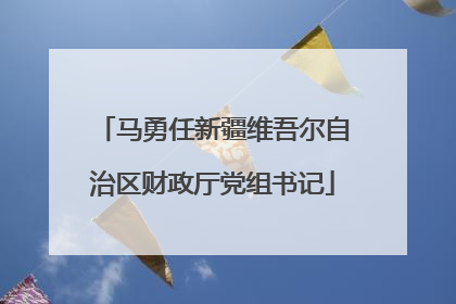 马勇任新疆维吾尔自治区财政厅党组书记