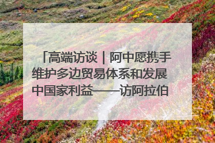 高端访谈｜阿中愿携手维护多边贸易体系和发展中国家利益——访阿拉伯议会议长亚马希