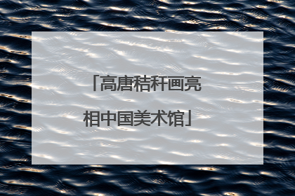 高唐秸秆画亮相中国美术馆