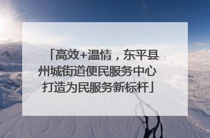 高效+温情，东平县州城街道便民服务中心打造为民服务新标杆