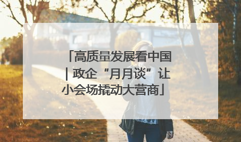 高质量发展看中国｜政企“月月谈”让小会场撬动大营商
