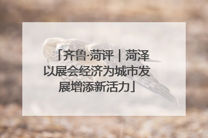 齐鲁·菏评｜菏泽以展会经济为城市发展增添新活力