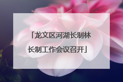 龙文区河湖长制林长制工作会议召开